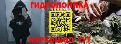 a pvp Волжский