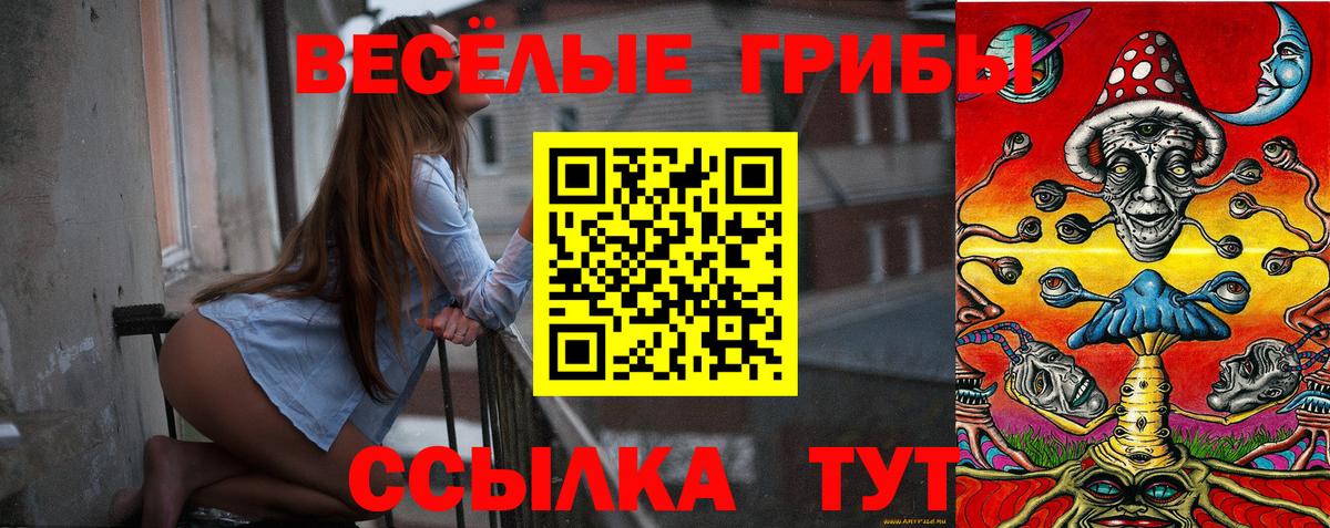 Галлюциногенные грибы ЛСД  купить   Сальск  Вход с VPN 
